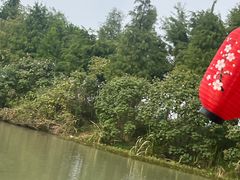 -合肥滨湖国家森林公园