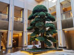 -外滩·云南人家(昆明旗舰店)