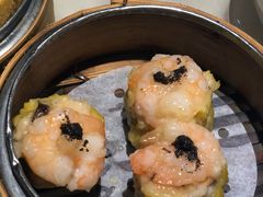 -糖朝(尖沙咀店)