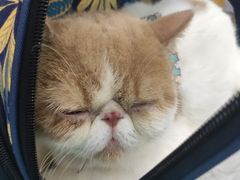 -BeauTea水仙(coco park店)