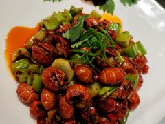 -确喜美味小厨(西单商场兰州店)