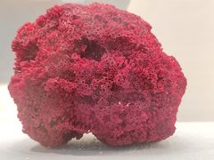 -湖南省地质博物馆