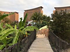 -亚马逊丛林水乐园