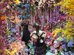 -正佳雨林生态植物园