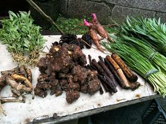 -西岭雪山大飞水景区