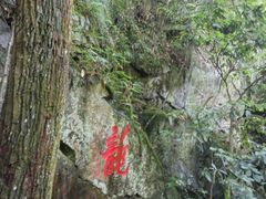 -藏龙百瀑风景区