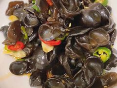 椒麻云耳-丰收日·小海鲜·沪上家宴(顾村正大店)