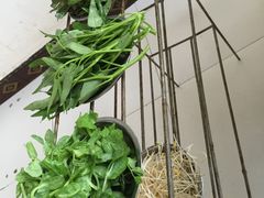 -姚记抚仙湖野生菌石锅鱼庄