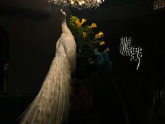 -滇野云南野生菌餐厅(陕西南路店)