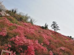 -木兰云雾山