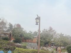 -山湖温泉