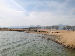 -野鸭湖国家湿地公园