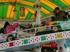 -泉州海丝野生动物世界