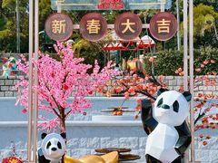 -九龙公园