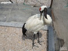 -海驴岛(荣成市)
