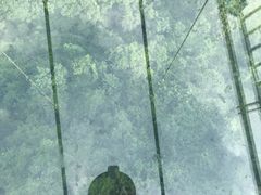 -荔江湾景区