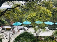 -南山植物园