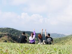 -大姆山草场