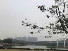 -东莞植物园