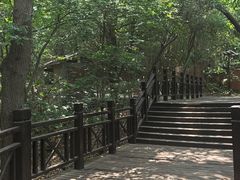 -紫金山山顶公园
