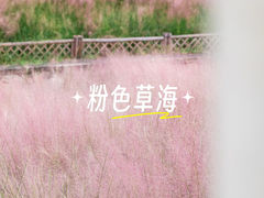 -牛岗山公园