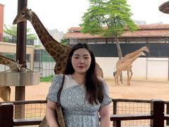 -灵玲国际马戏城