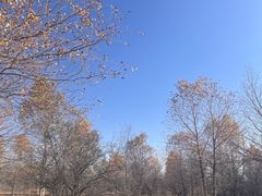 -亿利库布其七星湖沙漠生态旅游区