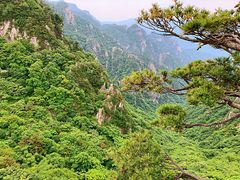 -老界岭旅游度假区