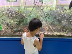 -上海昆虫博物馆