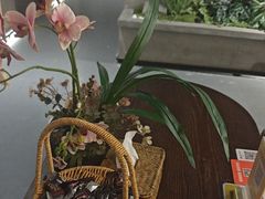 -施奈儿.洗头頭療.按摩SPA.采耳(上梅林店)