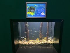 -常州海昌海洋探索馆