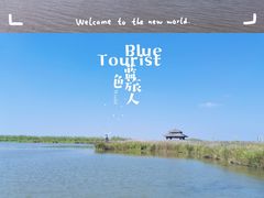 -宁波杭州湾国家湿地公园