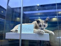 -国家自然博物馆