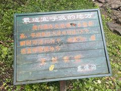 -龙道沟景区