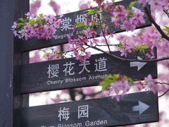 -南山植物园