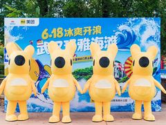 -武汉玛雅海滩水公园