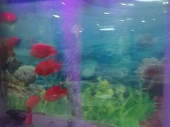 -雅悦齿科(顾村公园店)