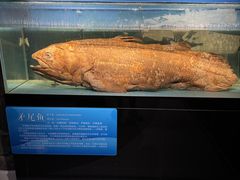 -国家自然博物馆