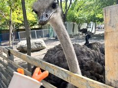 -水上乐园·欢乐世界