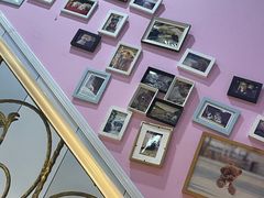 -哆趣宠物医院·眼科·内镜·急重症转诊中心(上海店)