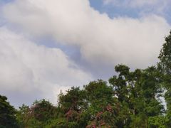 -荔香公园