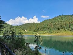 -武陵山森林公园