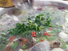-野菌王牦牛肉汤锅