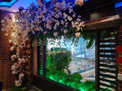 -杯子红牛排(西樵店)