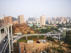 -仙岳公园