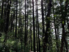-白草畔自然风景区