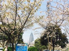 -西北湖绿化广场
