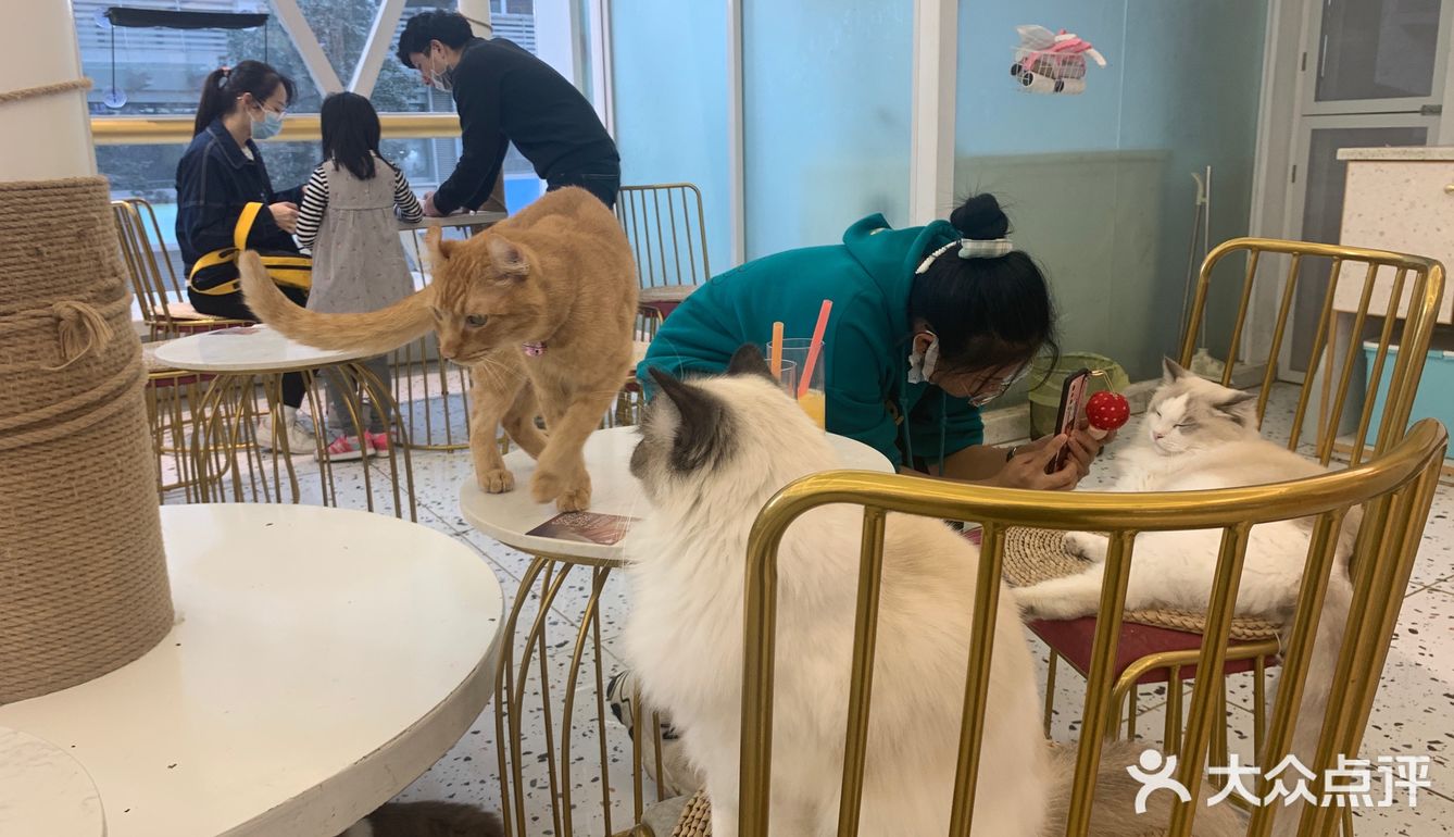 期望有多大，失望就有多大吧！第一次这样的……