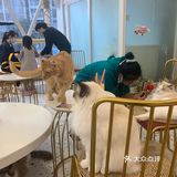 期望有多大，失望就有多大吧！第一次这样的……