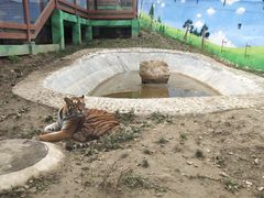 -栾川竹海野生动物园